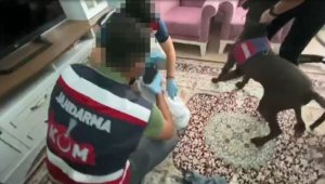Narkotik köpeği evin her yerinde uyuşturucu buldu
