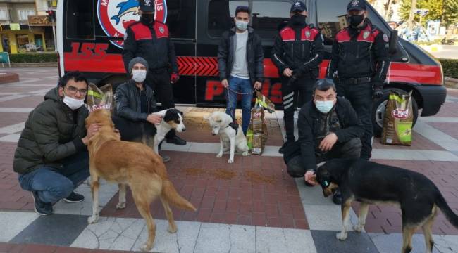 Nazilli'de polis sokak hayvanlarını unutmadı
