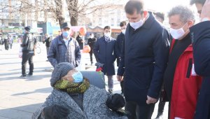 Ölen kedisi için 3 gün ağladı