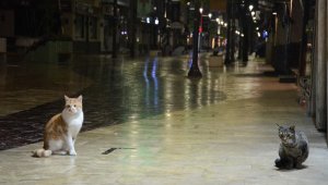 Ordu sokaklarında kısıtlama sessizliği