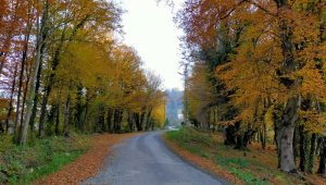 Ordu'da kartpostallık kareler