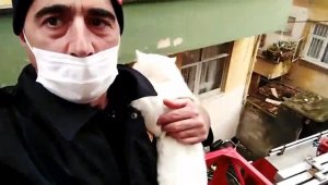 Rize'de itfaiye ekiplerinden kedi kurtarma operasyonu