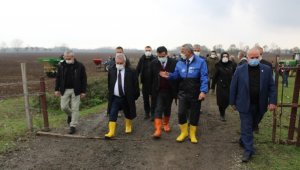 Samsun'da meralar ıslah ediliyor