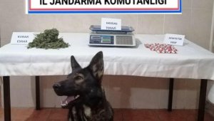 Savaştepe'de uyuşturucu operasyonu