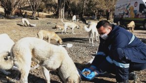 Sincan'da korona virüs tedbirleri