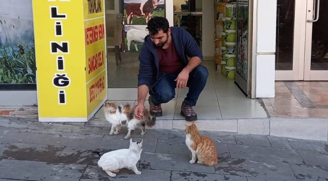 Sokak hayvanlarının veterineri