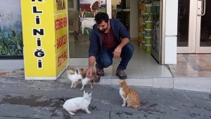 Sokak hayvanlarının veterineri