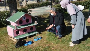 Sokak kedileri ev sahibi oldu