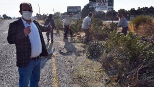 Söke'nin turizm bölgesi Doğanbey'de, atıl alanlar yeşilleniyor