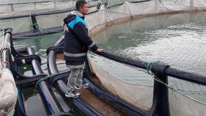 Tarım ve Orman Bakanlığından su ürünleri desteği