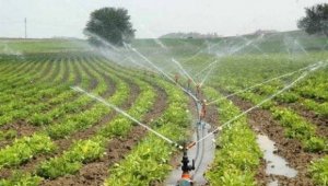 Tokat'ta 55 bin 550 dekar tarım arazisi modern sulama şebekesine kavuşacak