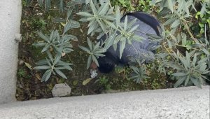 Torbacıların bıçaklı kavgasına polisin suçüstü baskını kamerada