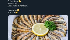 Trabzon Emniyeti'nden sürücülere "Ceza yeme, hamsi ye" tavsiyesi