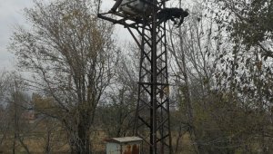Trafo üzerinde yanmış halde bulundu