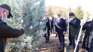 Tunceli'de "Kahraman Sağlık Çalışanları Hatıra Ormanı" oluşturuldu