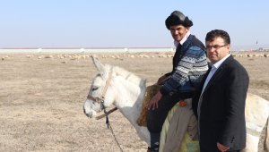 Türkiye'nin çobanları Orta Asya'dan