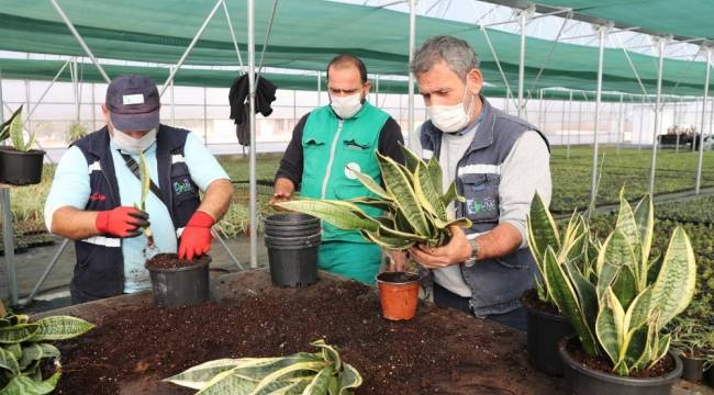 Yaşam Bahçesi'ndeki bitkilerin üretimi başladı