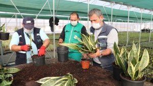 Yaşam Bahçesi'ndeki bitkilerin üretimi başladı