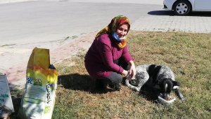 Yenişehirliler köpeklerin canlı canlı ölüme terk edilmesine isyan etti