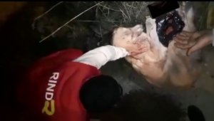 Yüzüne tutkal sürüldü, yetmedi bir de araba çarptı