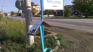 Zor günlerde sokak hayvanları Süleymanpaşa Belediyesine emanet