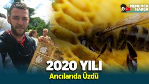Felaket yılı 2020 Arıcıları da üzdü