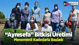 “Aynısefa” Bitkisi Üretimi Menemenli Kadınlarla Başladı