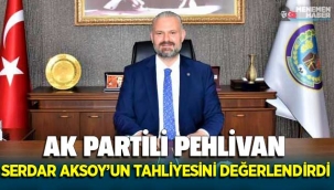 AK Partili Aydın Pehlivan Aksoy'un tahliyesini değerlendirdi