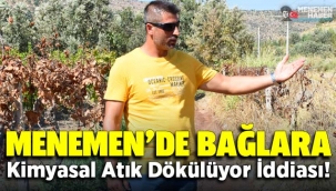 Menemen'de üzüm bağlarına kimyasal atık dökülüyor iddiası
