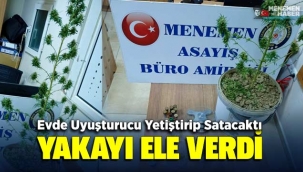 Menemen'de evde uyuşturucu yetiştireceklerdi yakalandılar