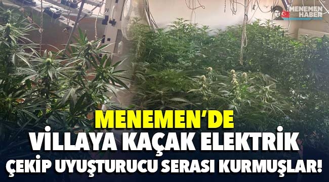 Menemen'de villaya kaçak elektrik çekip, uyuşturucu serası kurmuşlar