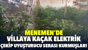 Menemen'de villaya kaçak elektrik çekip, uyuşturucu serası kurmuşlar