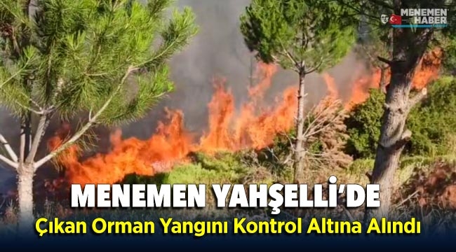 Menemen Yahselli 'de Orman Yangını 