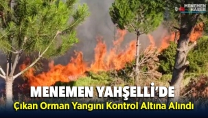 Menemen Yahselli 'de Orman Yangını