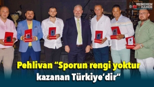 Pehlivan