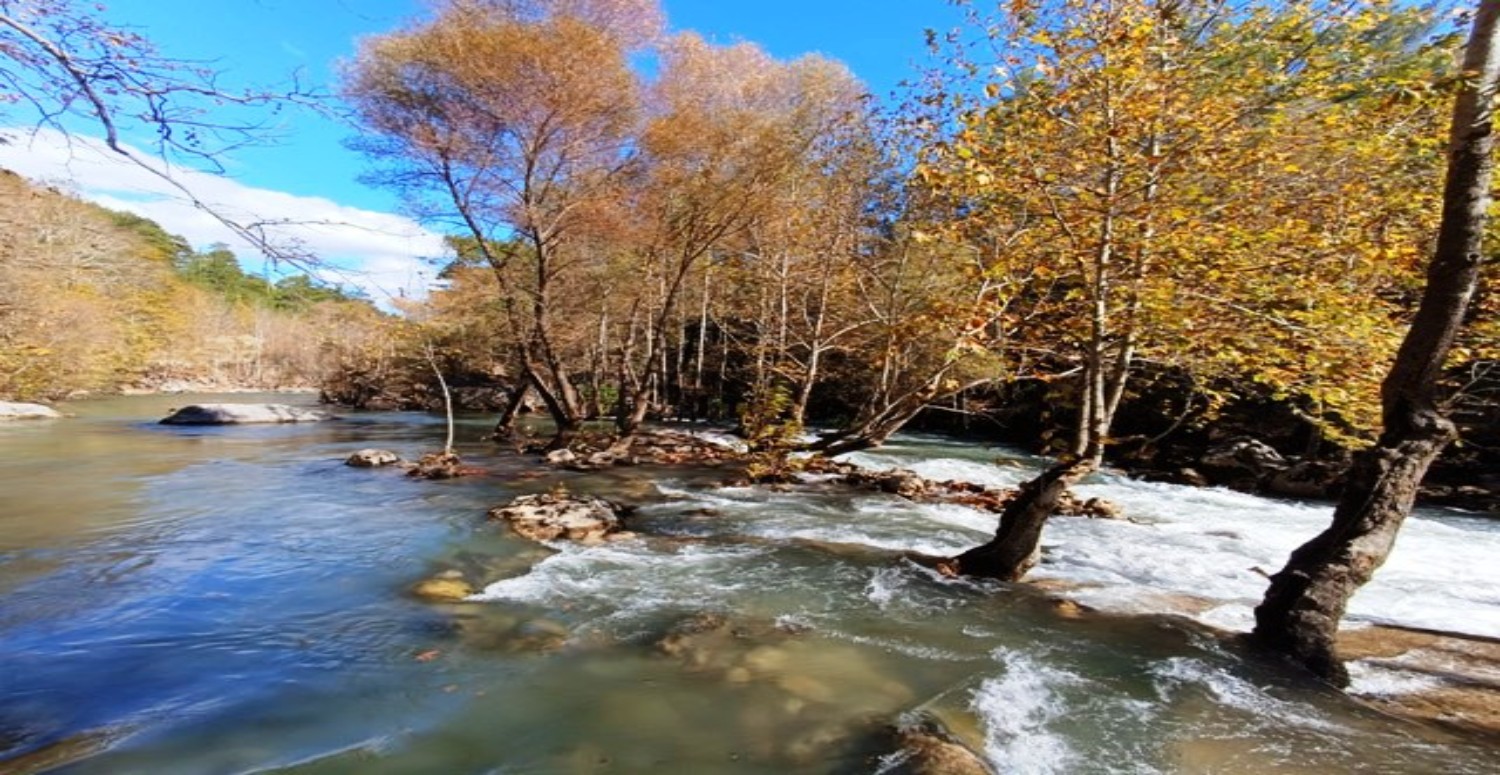 akaryakıt