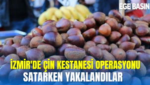 İzmir'de Çin kestanesi operasyonu: Satarken yakalandı
