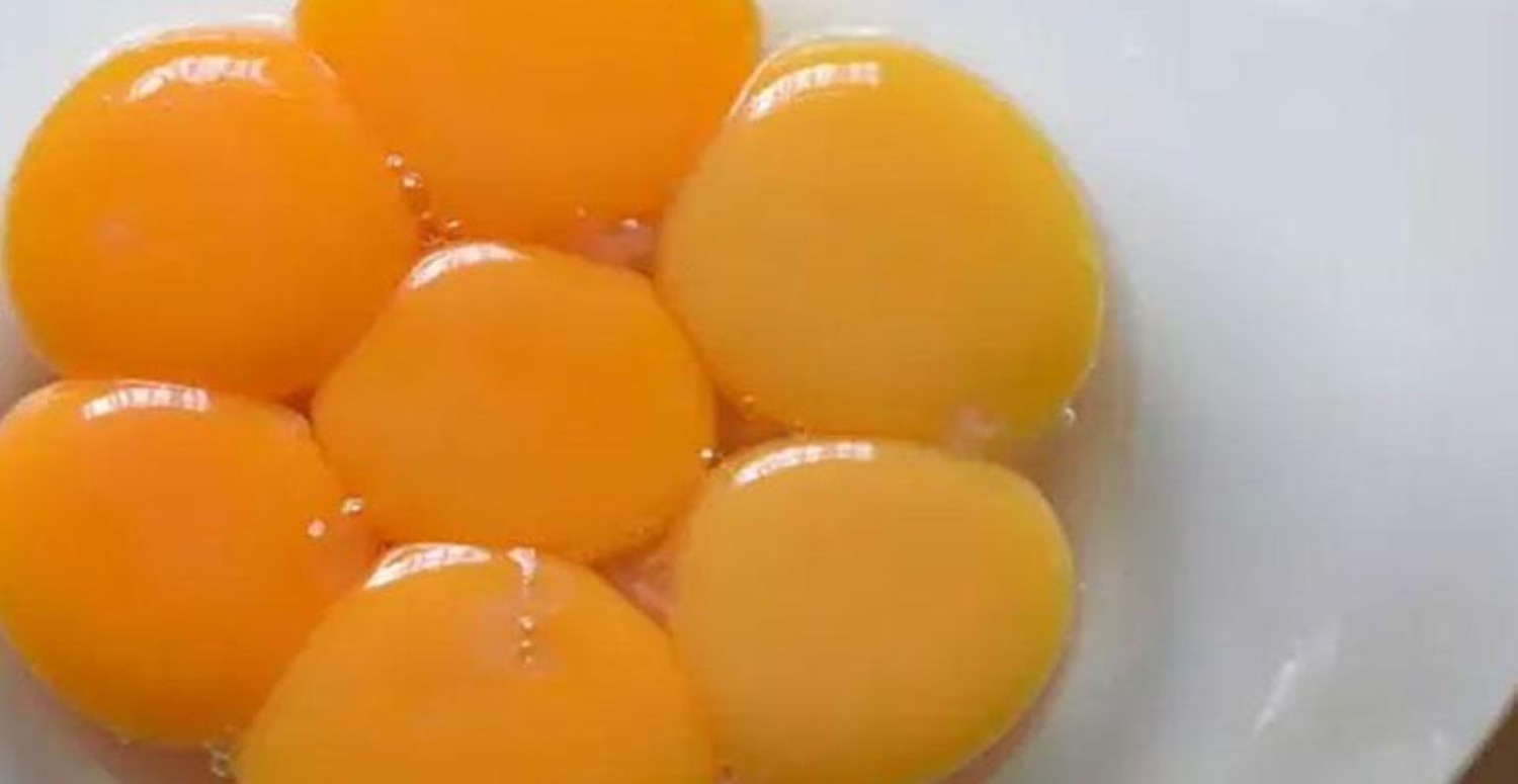yumurta