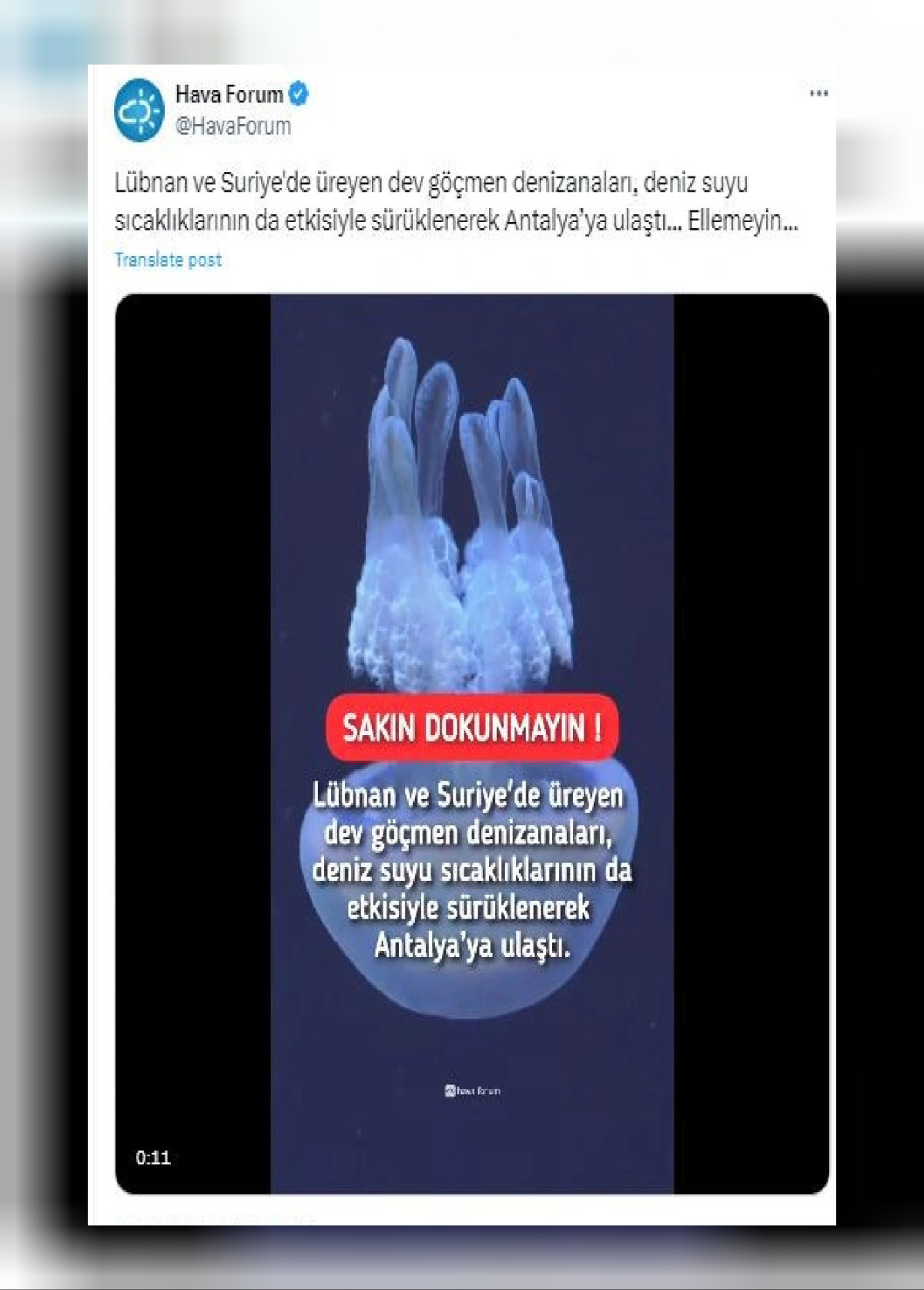 deniz suyu sıcaklıkları