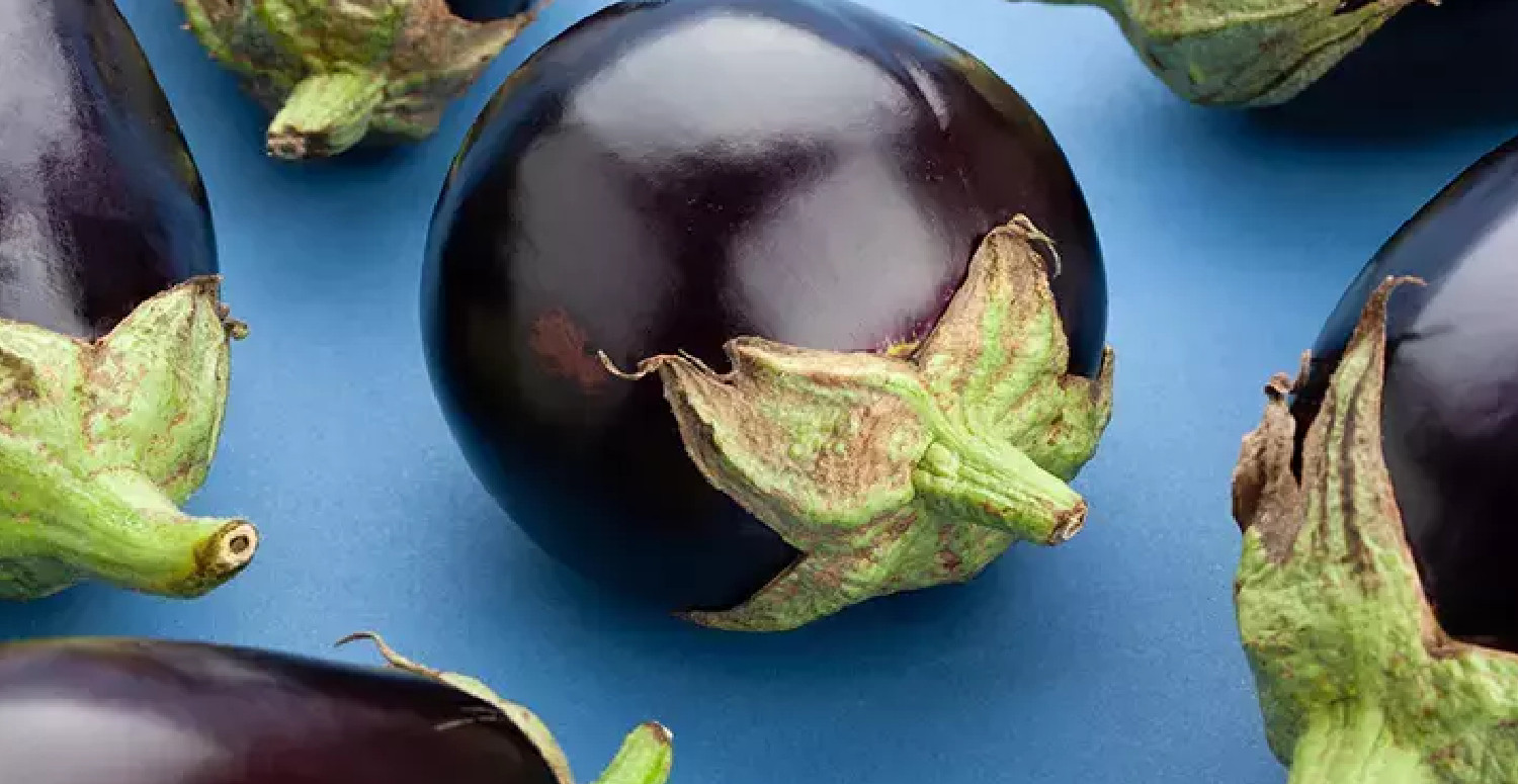 patlıcan saplarından çay