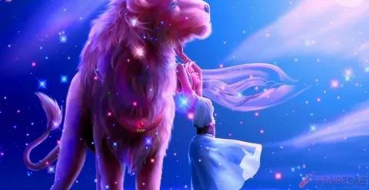 ASLAN BURCU