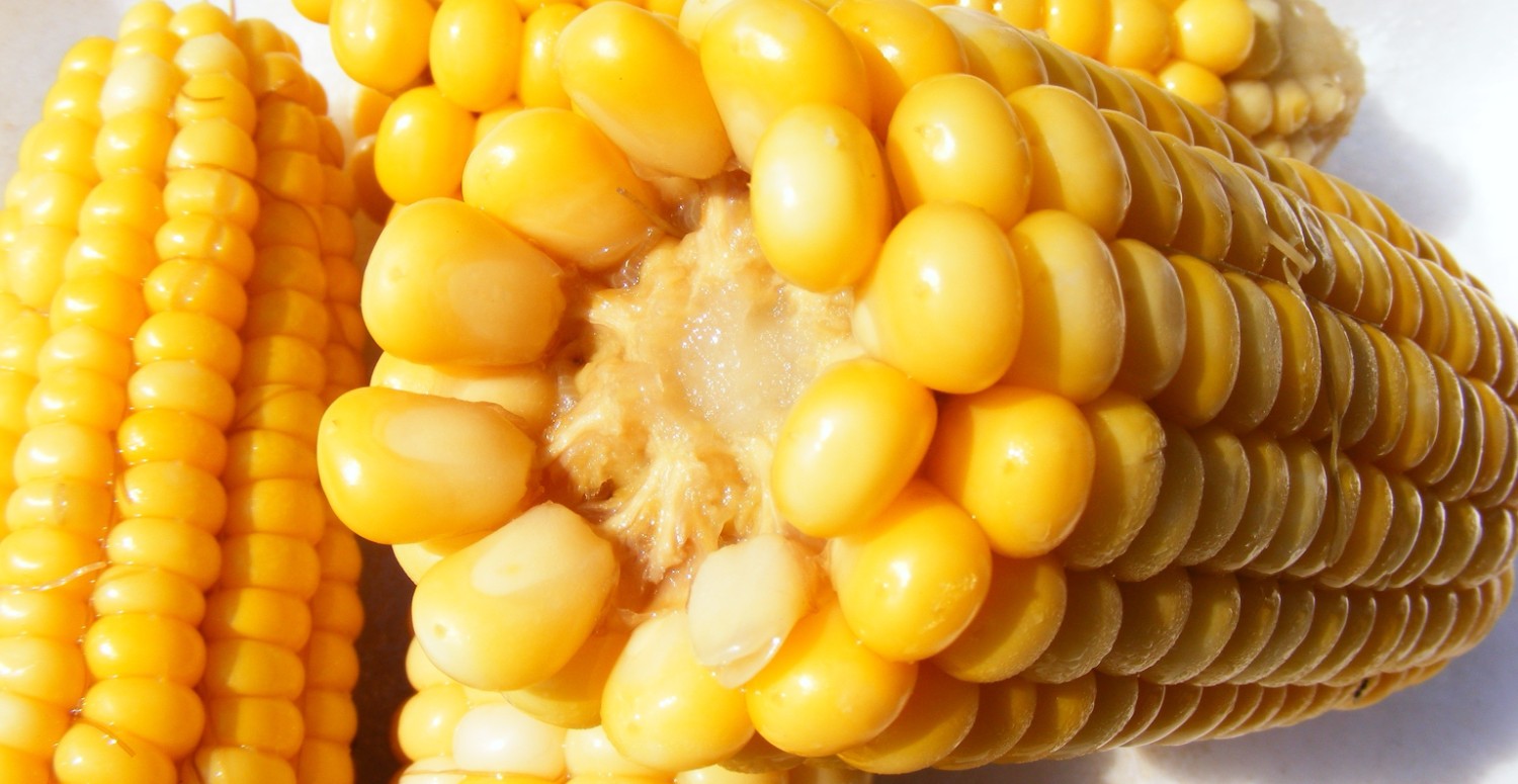 Можно ли есть вареную кукурузу при похудении. Можно ли есть вареную кукурузу при похудении. Можно ли есть вареную кукурузу при похудении. Вареная кукуруза. Кукуруза при похудении.