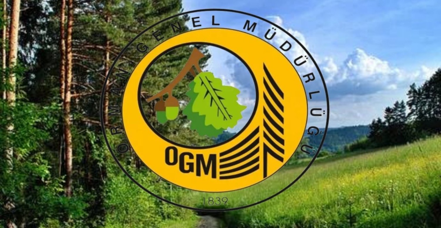 Orman Genel Müdürlüğü mülakatsız personel alımı! Lise, ön lisans, lisans mezunu