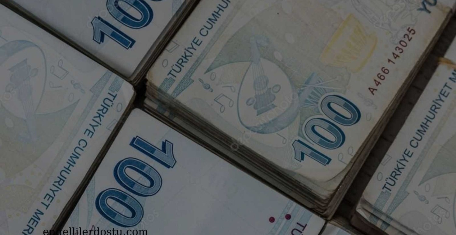 TC kimlik no 0,2,4,6,8 ile bitenler IBAN'ına baksın! Beklenen ödemeler hesapta