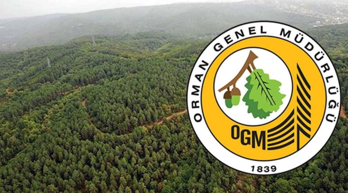 ogm işe alım