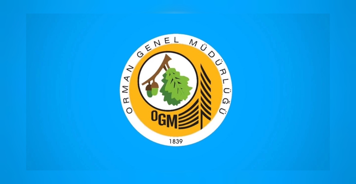 Orman Genel Müdürlüğü personel alımı duyurusu! Şartlar tek tek açıklandı