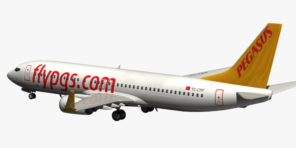 pegasus uçak bileti kampanyası