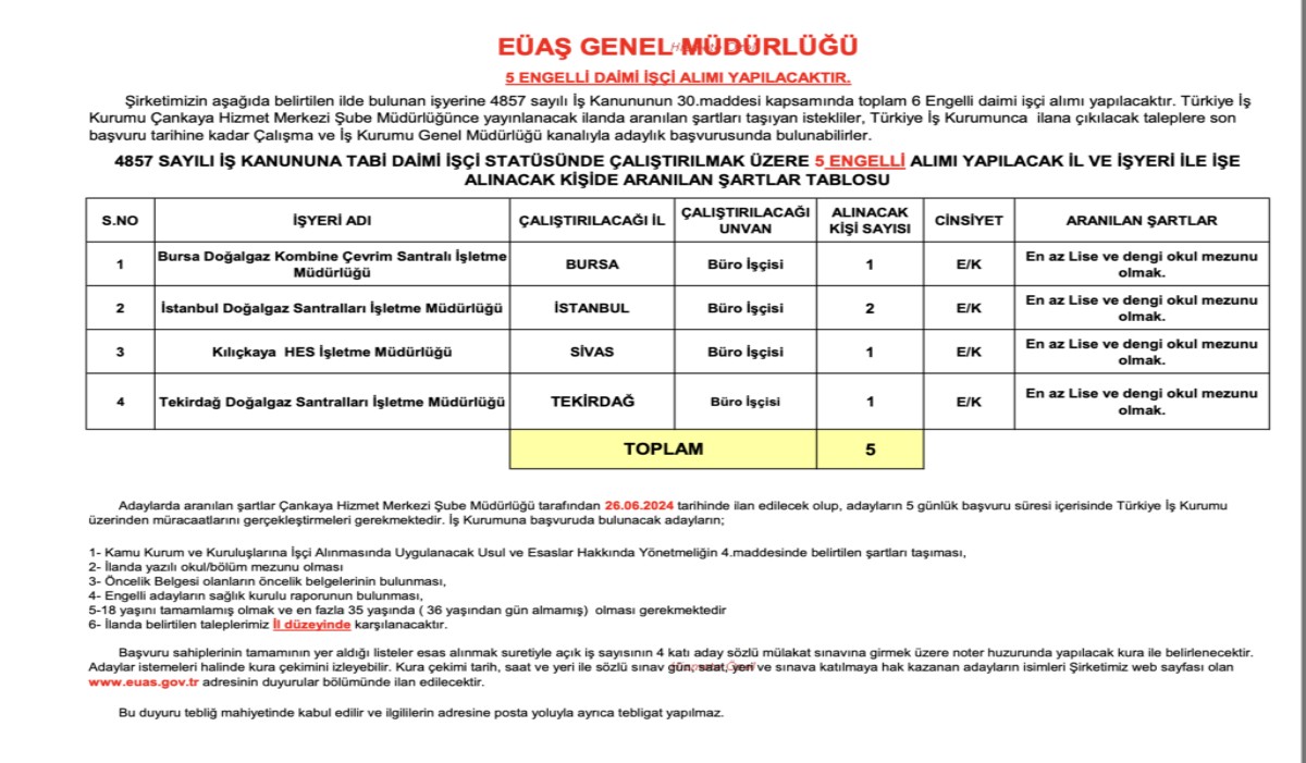 dizi