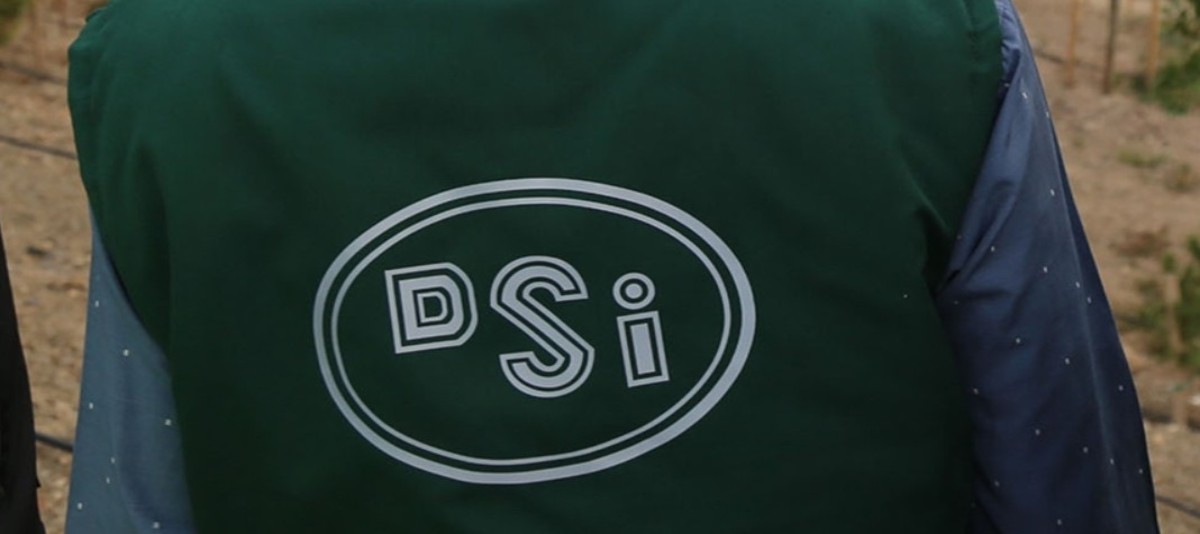 dsi personel alımı
