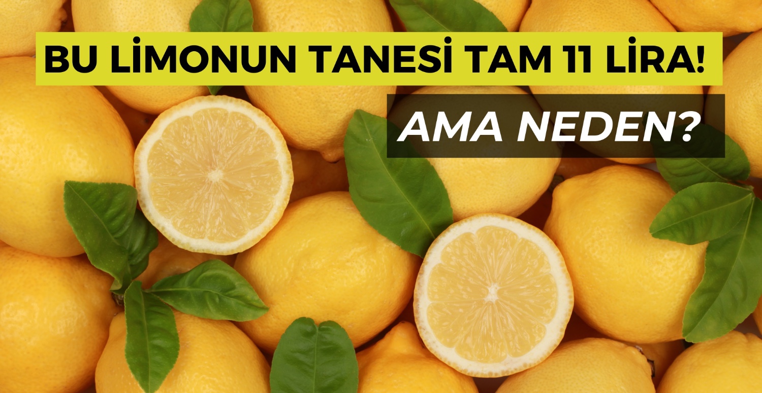 Tanesi 11 TL oldu! Artık kiloyla değil taneyle alınabilecek: Rekor zam geldi